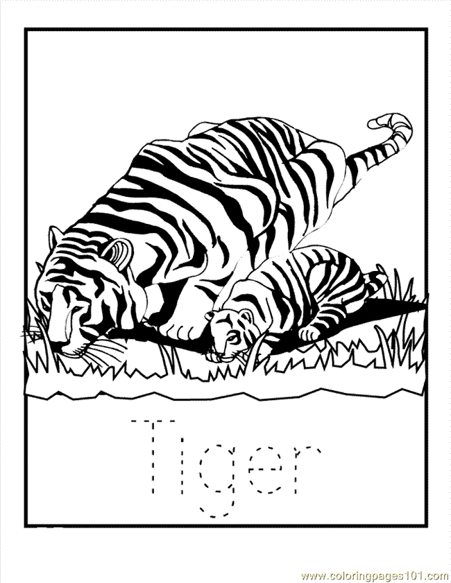Lynx Coloring Pages