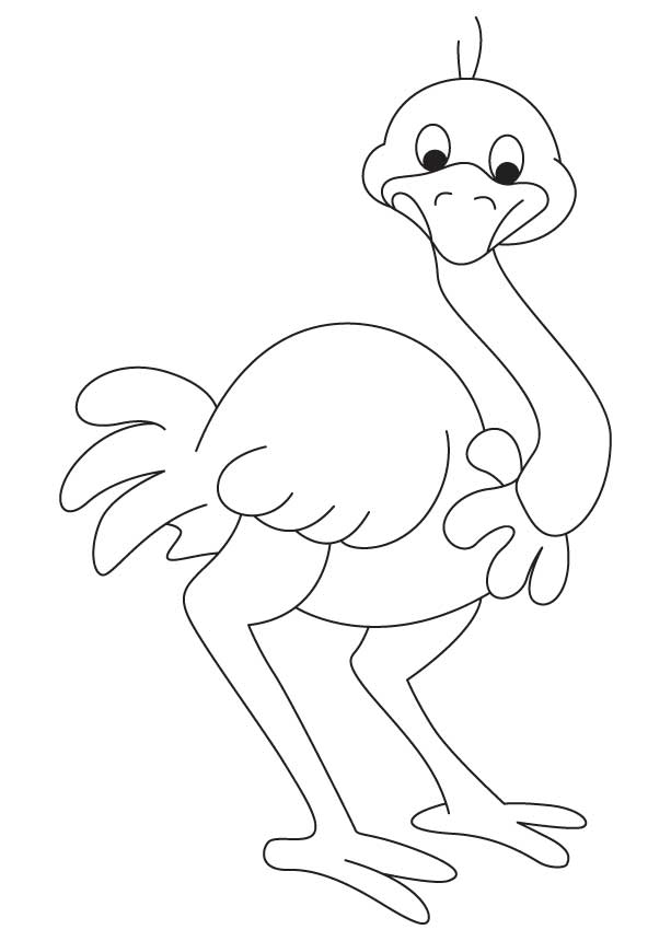 antartica coloring page free online