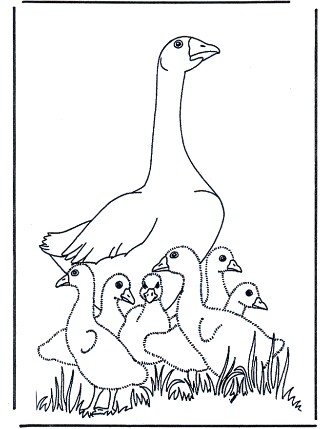 Mother goose - Birds