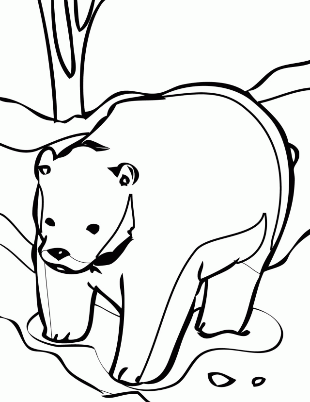 Antarctic Coloring Pages C0lor 96072 Antarctic Animals Coloring Pages