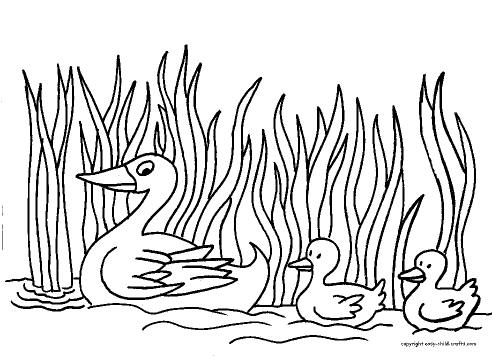 children coloring page of duck : Printable Coloring Sheet ~ Anbu 