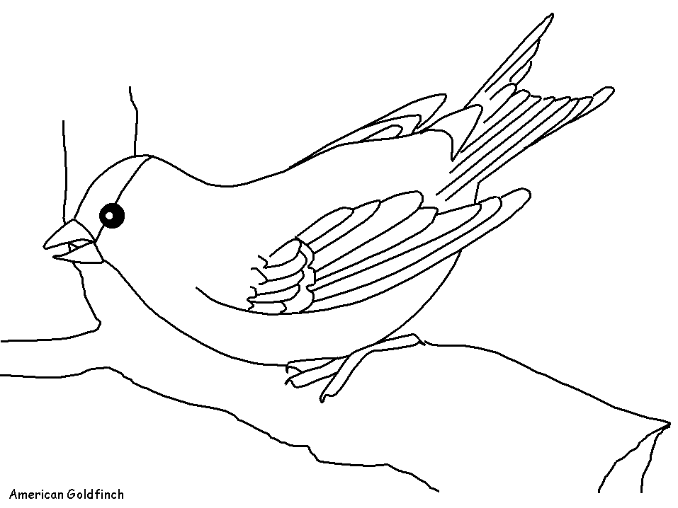 Downy Woodpecker Coloring Page