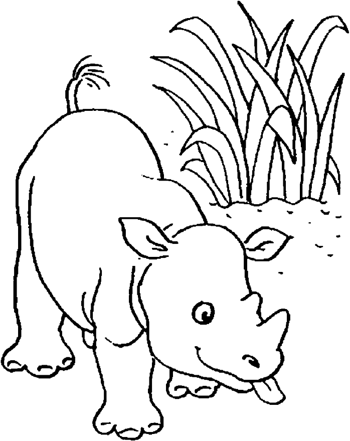 Coloring Picture Of Baby Rhinoceros | Kids Coloring Pages on dot Com