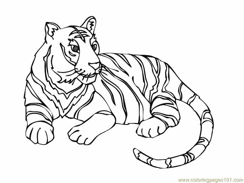 Coloring Pages Tiger new 12 (Mammals > Tiger) - free printable 