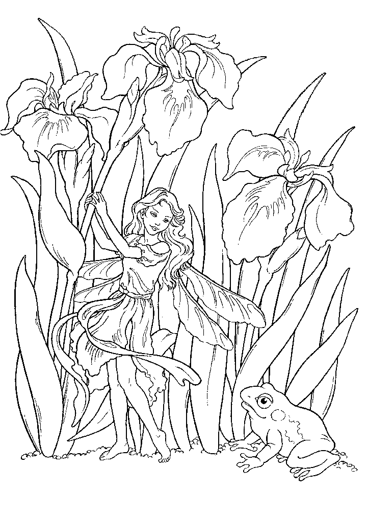 Fairy Coloring Pages/page/2 | Pictxeer