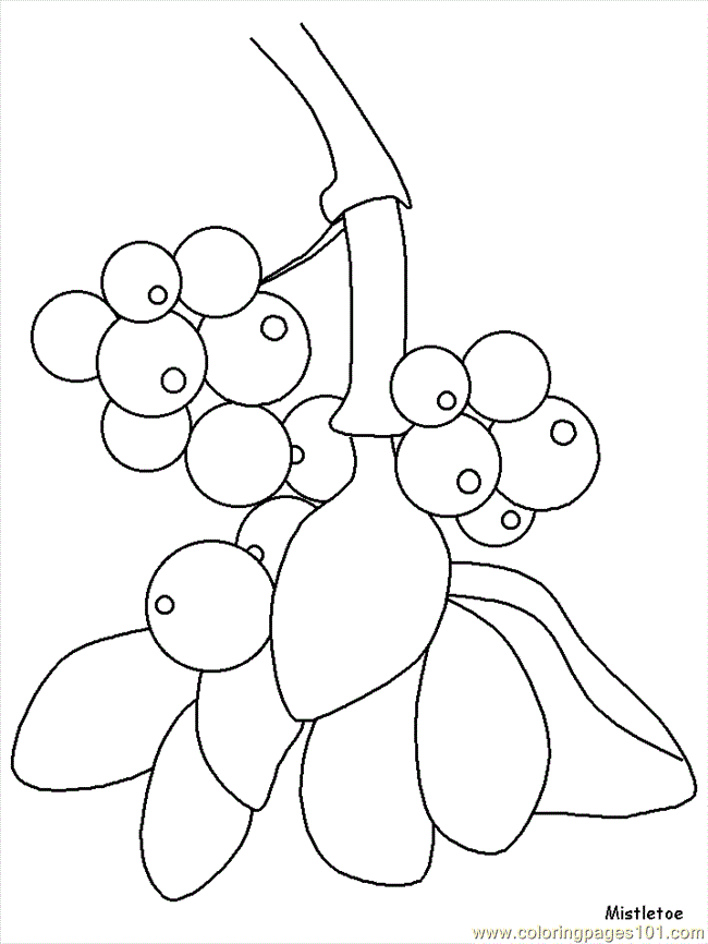 Coloring Pages Flower Coloring Pages Mistletoe (Natural World 