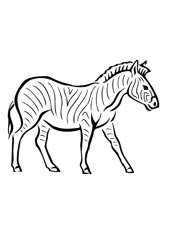 Zebra-Coloring-Page-Images-1024×701Free coloring pages for kids 