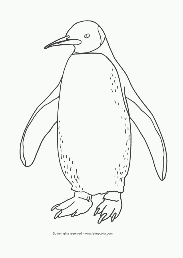 Adorable Penguin coloring pages | Coloring Pages