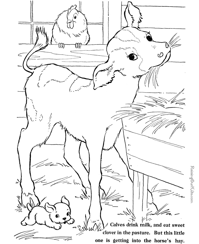 Printable farm animal coloring page | Jamie and Aaron's Baby | Pinter…