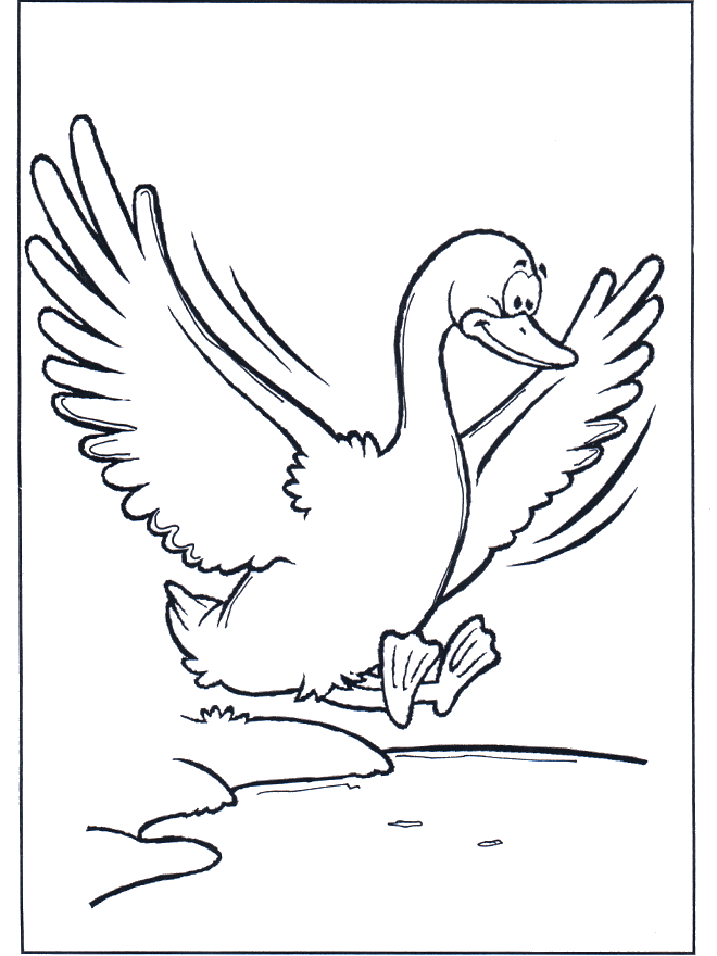 Flying goose - Birds