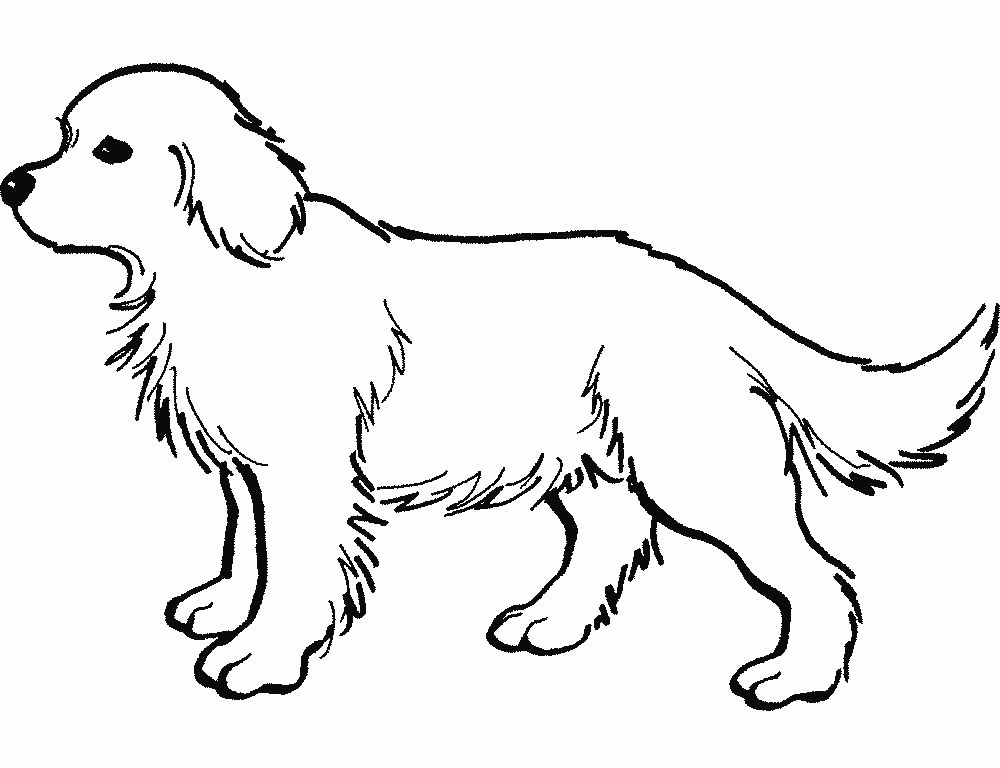 The Big Dog Is A Very Cruel And Abusive Coloring Page |Dog 