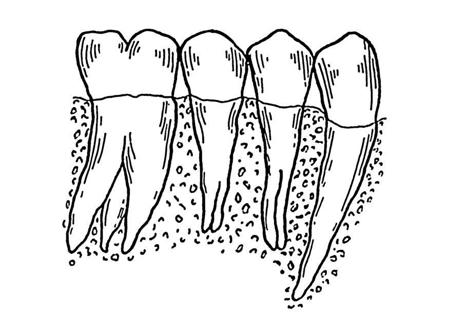 Coloring page teeth - img 18755.