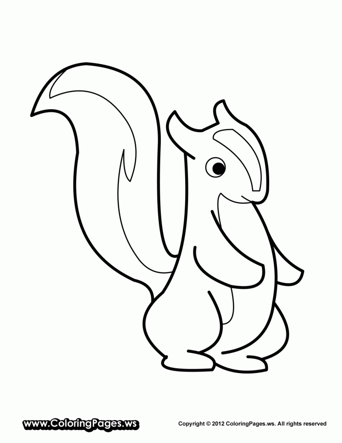 Skunk Coloring Page For Kids