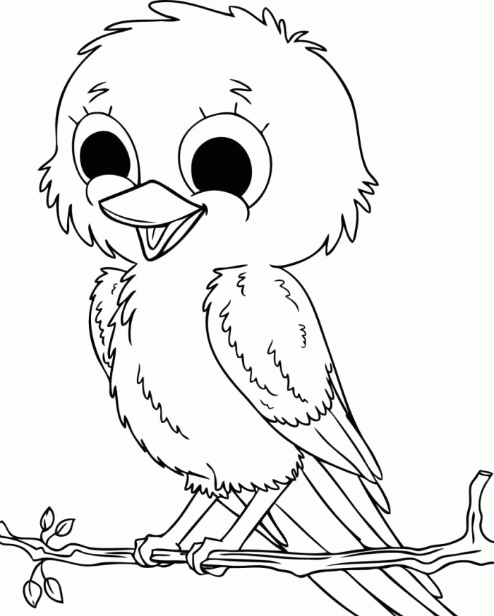 Pictures Baby Sparrow Birds Coloring Pages - Bird Coloring Pages 