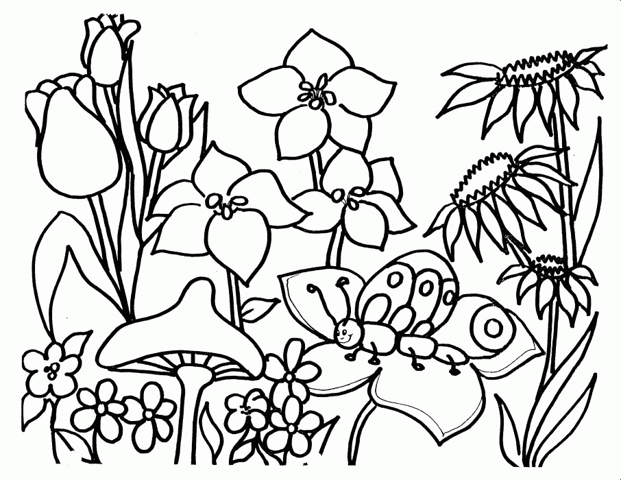 Free Coloring Pages Flowers Adults
