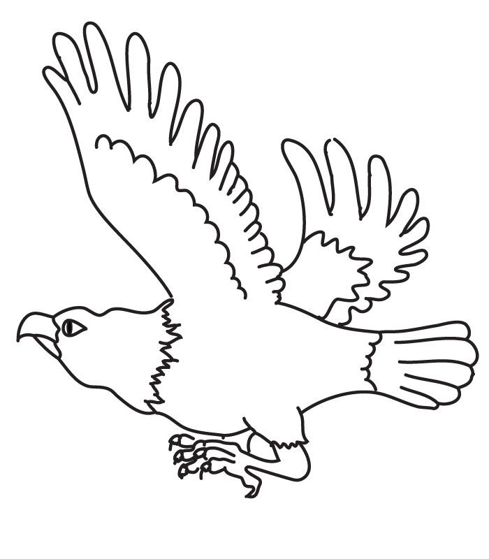 eagle coloring pages | Coloring Picture HD For Kids | Fransus 