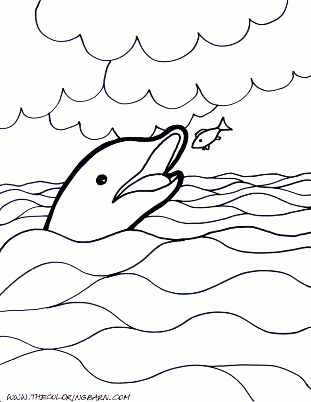 Beautiful Dolphin Coloring Pages | Laptopezine.