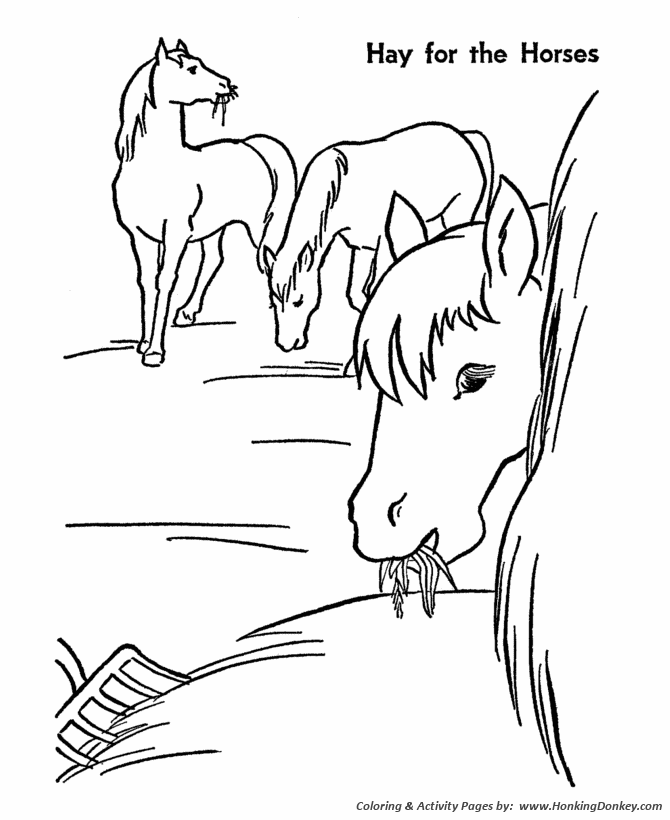 Horse Coloring Pages | Printable Hay is for horses Coloring Page |  HonkingDonkey