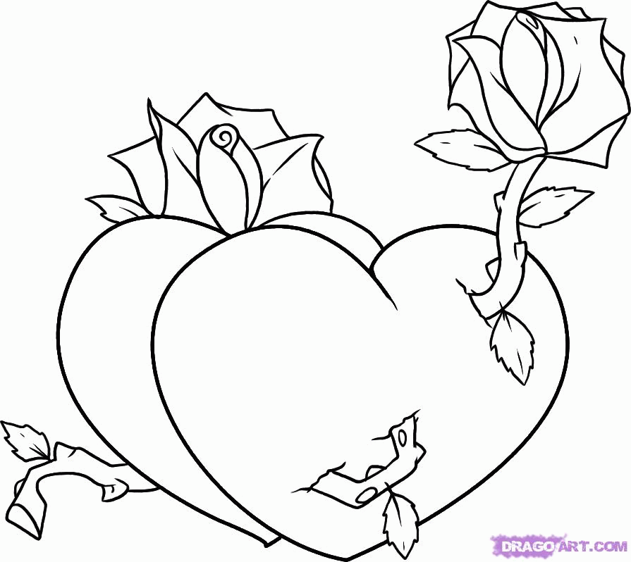 valentine roses and hearts drawings
