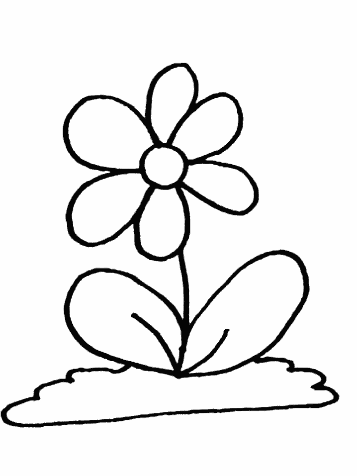 Flowers | Color On Pages: Coloring Pages for Kids