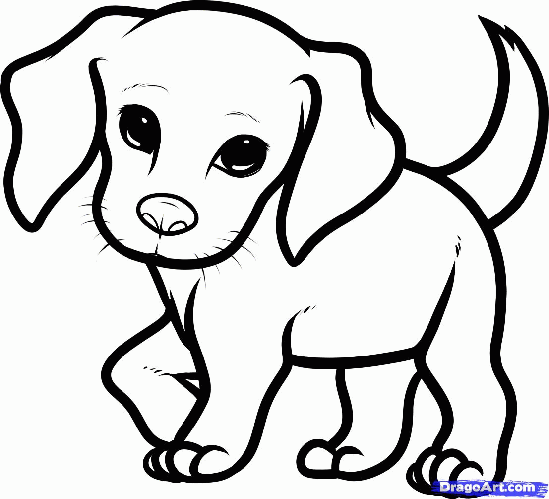 Cute Baby Animal Coloring Pages Dragoart   Coloring Home