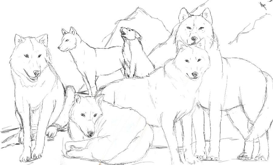 11 pics of pack of wolves coloring pages  zelda wolf