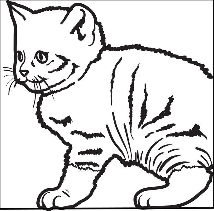 Download Funny Cat Pics For Kids - Coloring Home