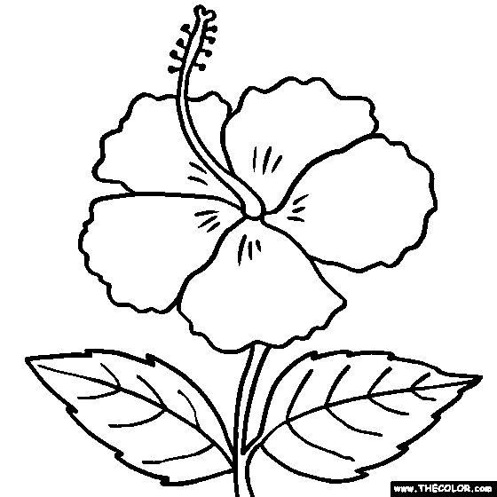 Hibiscus Flower Online Coloring Page - Coloring Home
