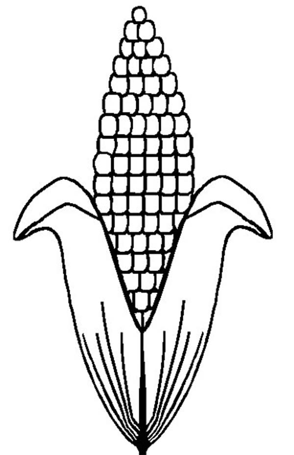 C Is For Corn Cob Coloring Page : Coloring Sun