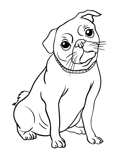 Baby Pug Coloring Pages Coloring Home