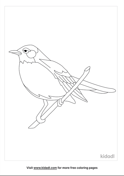 Connecticut State Bird Coloring Pages | Free Birds Coloring Pages | Kidadl