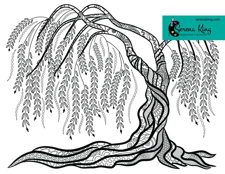 Weeping Willow Tree Coloring Page | Tree coloring page, Weeping willow tree,  Coloring pages