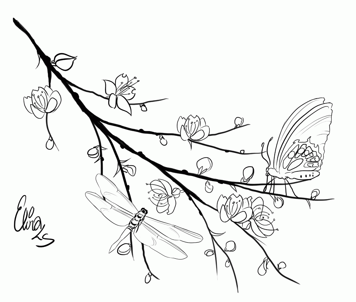 Black And White Dragonfly Coloring Pages - Coloring Pages For All Ages