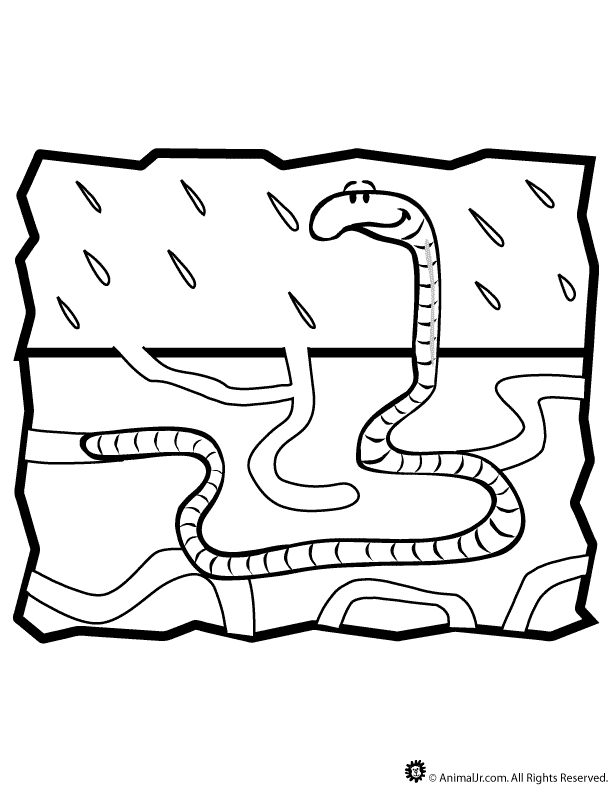 Worm Coloring Page | Woo! Jr. Kids Activities