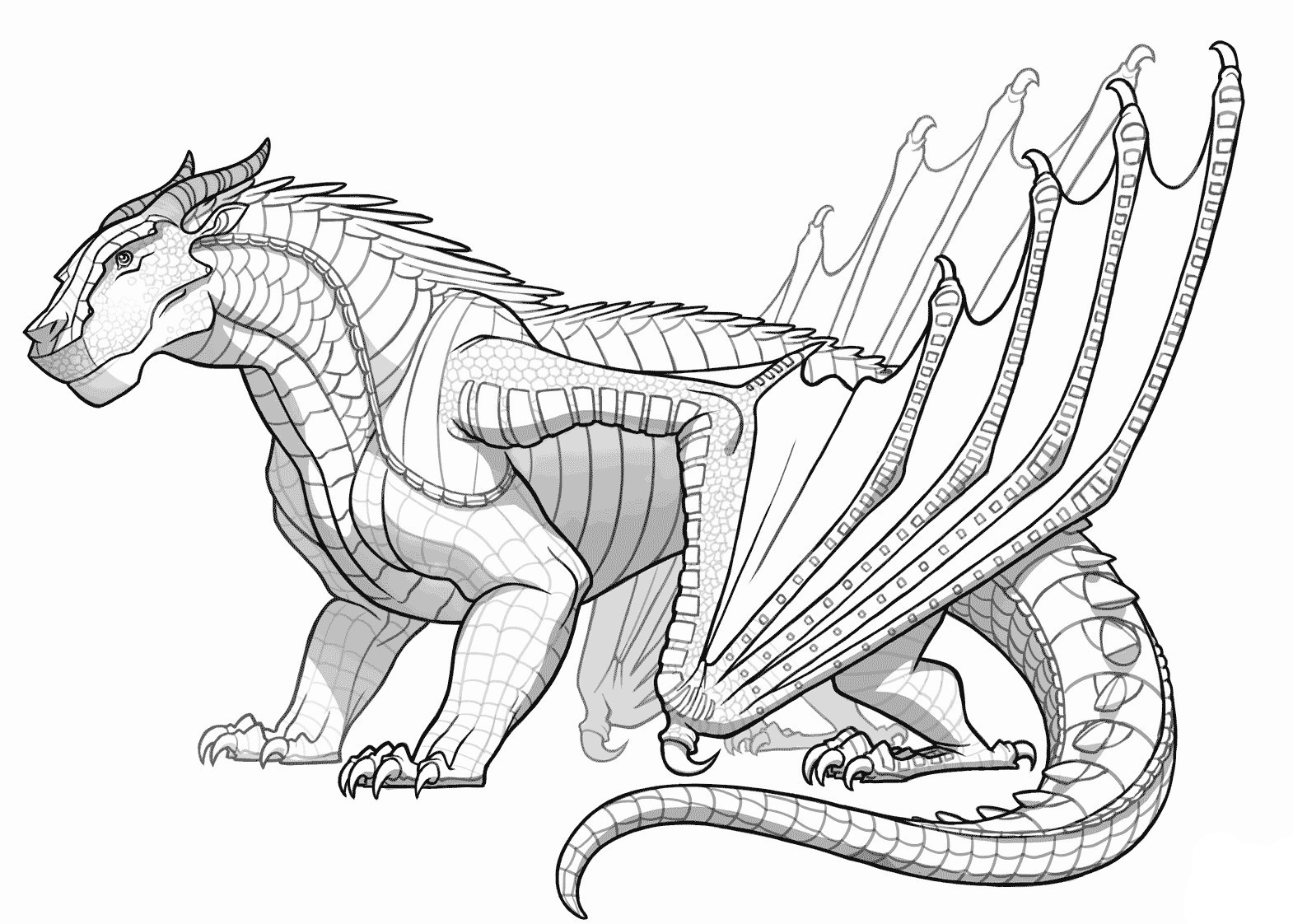 Dragon Coloring Pages for Adults - Best Coloring Pages For Kids