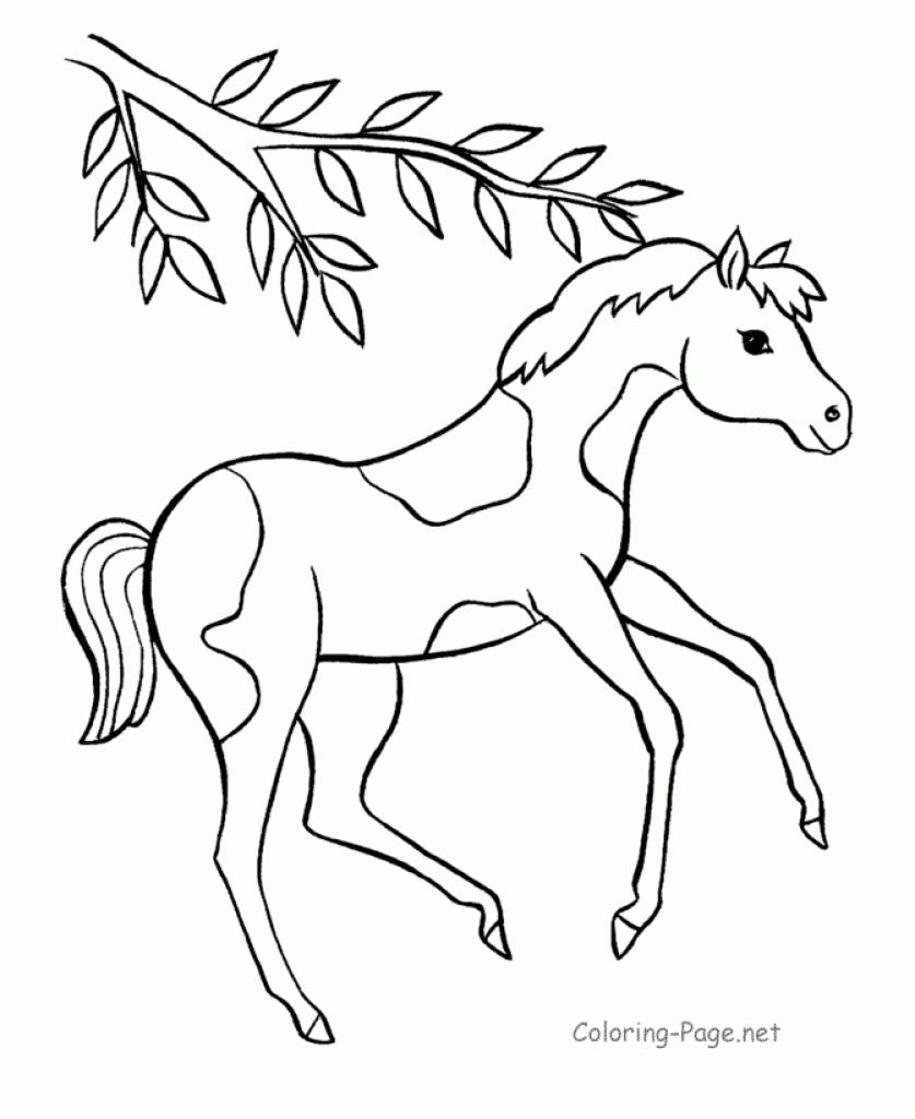 Coloring Pages : Babyrse Drawing At Getdrawings Com Free For ...