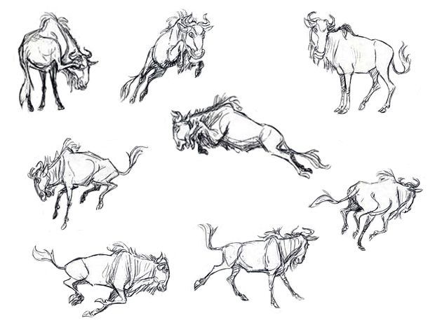 Resultado de imagen de wildebeest drawings | Animal sketches, Animal line  drawings, Animal drawings