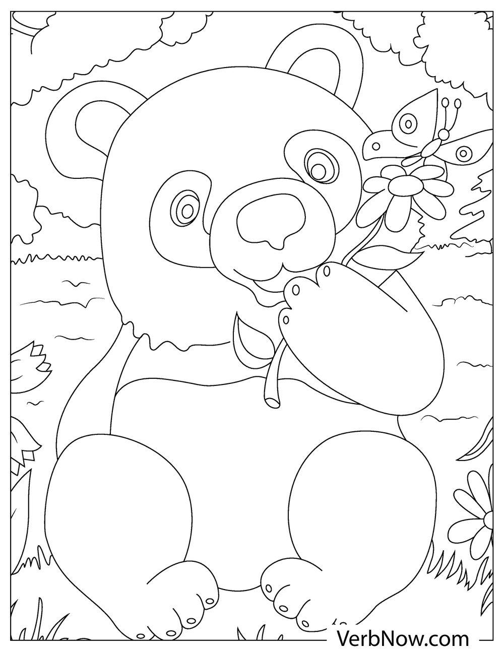 Free PANDA BEARS Coloring Pages & Book for Download (Printable PDF) -  VerbNow