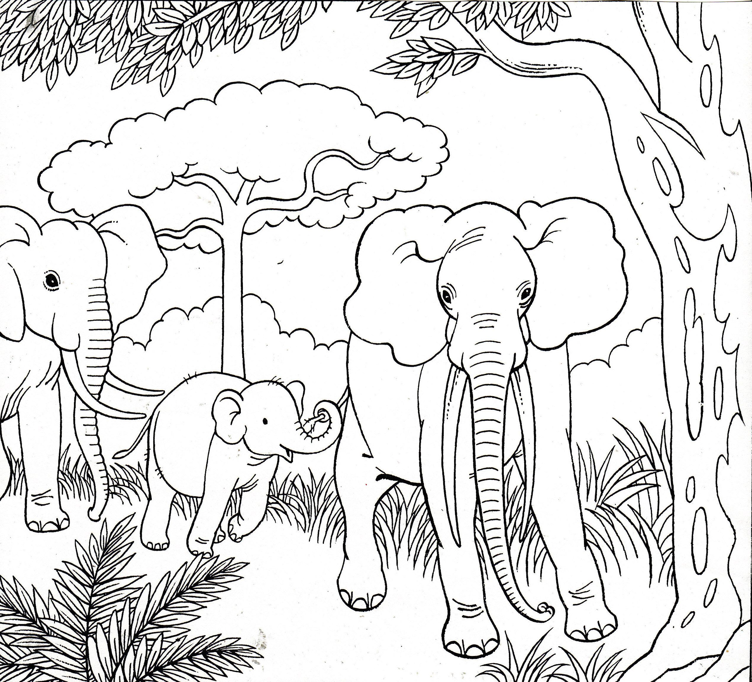 Download Elephant Stencil Coloring Pages - Coloring Home