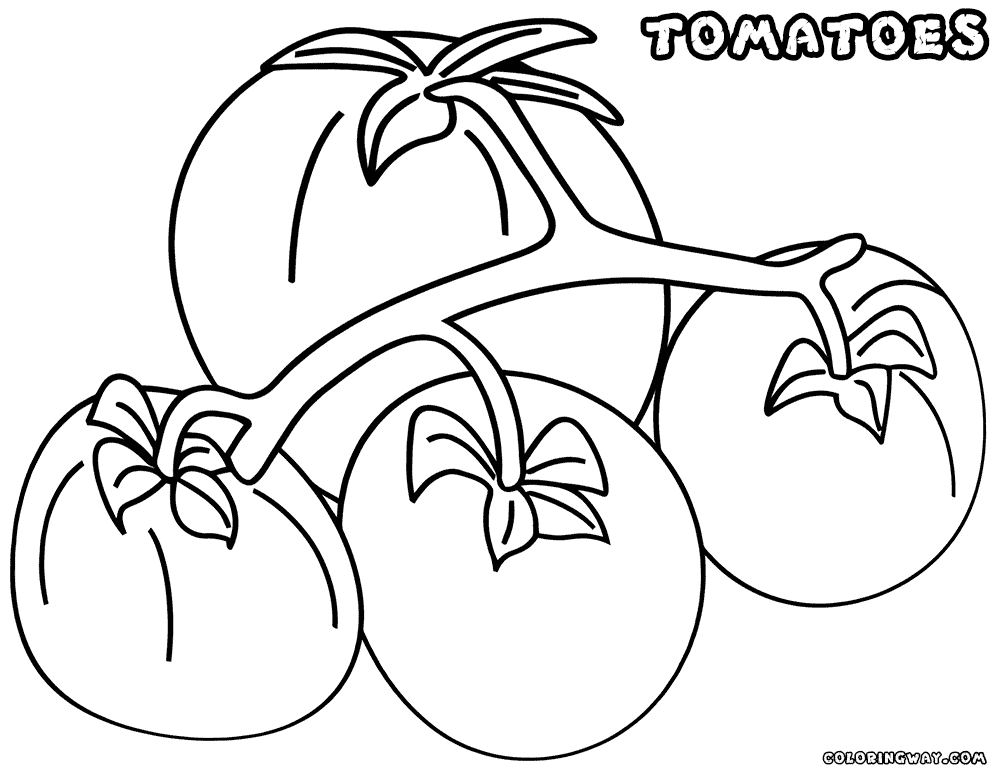 Tomato coloring pages | Coloring pages to download and print