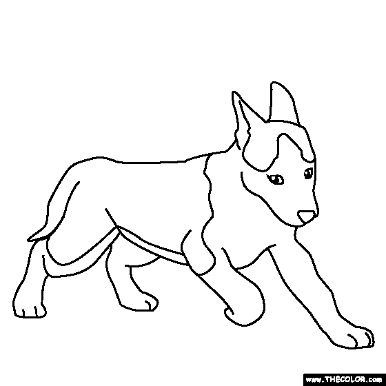 Husky Puppy Coloring Page - Coloring Home