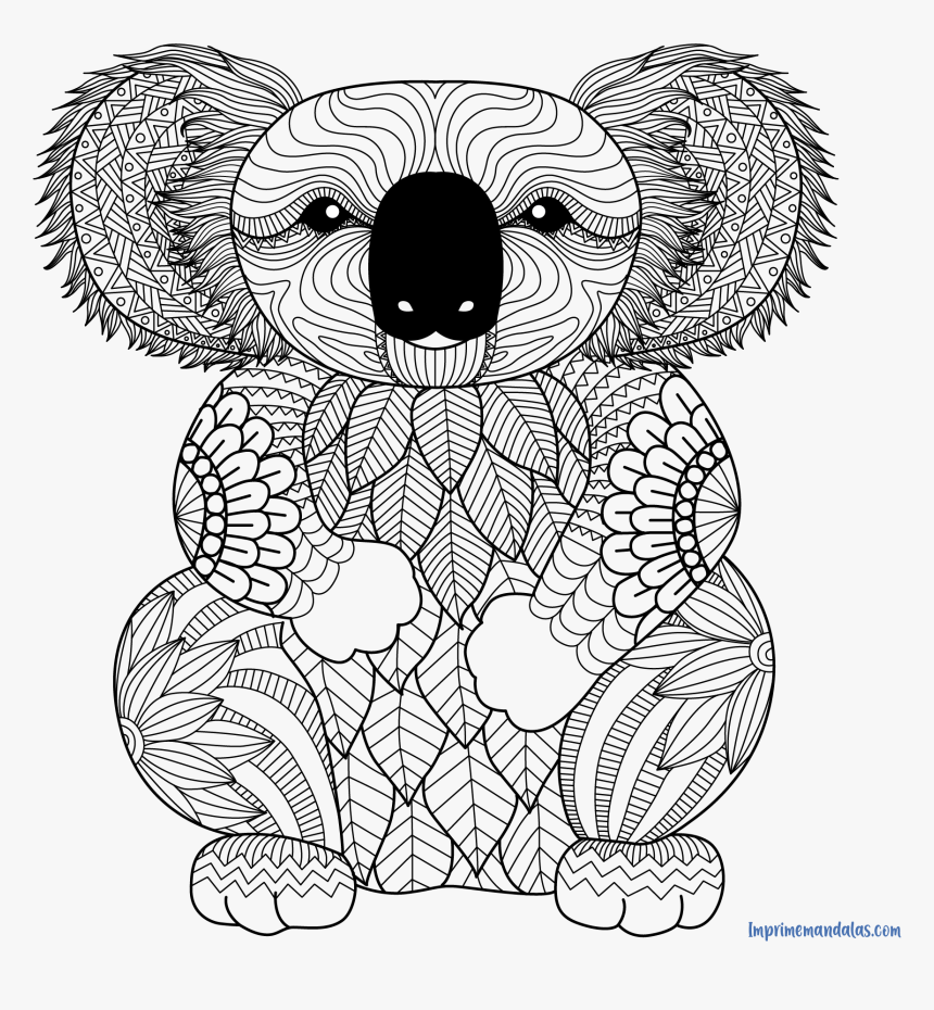 printable-koala-coloring-page-hd-png-download-transparent-png