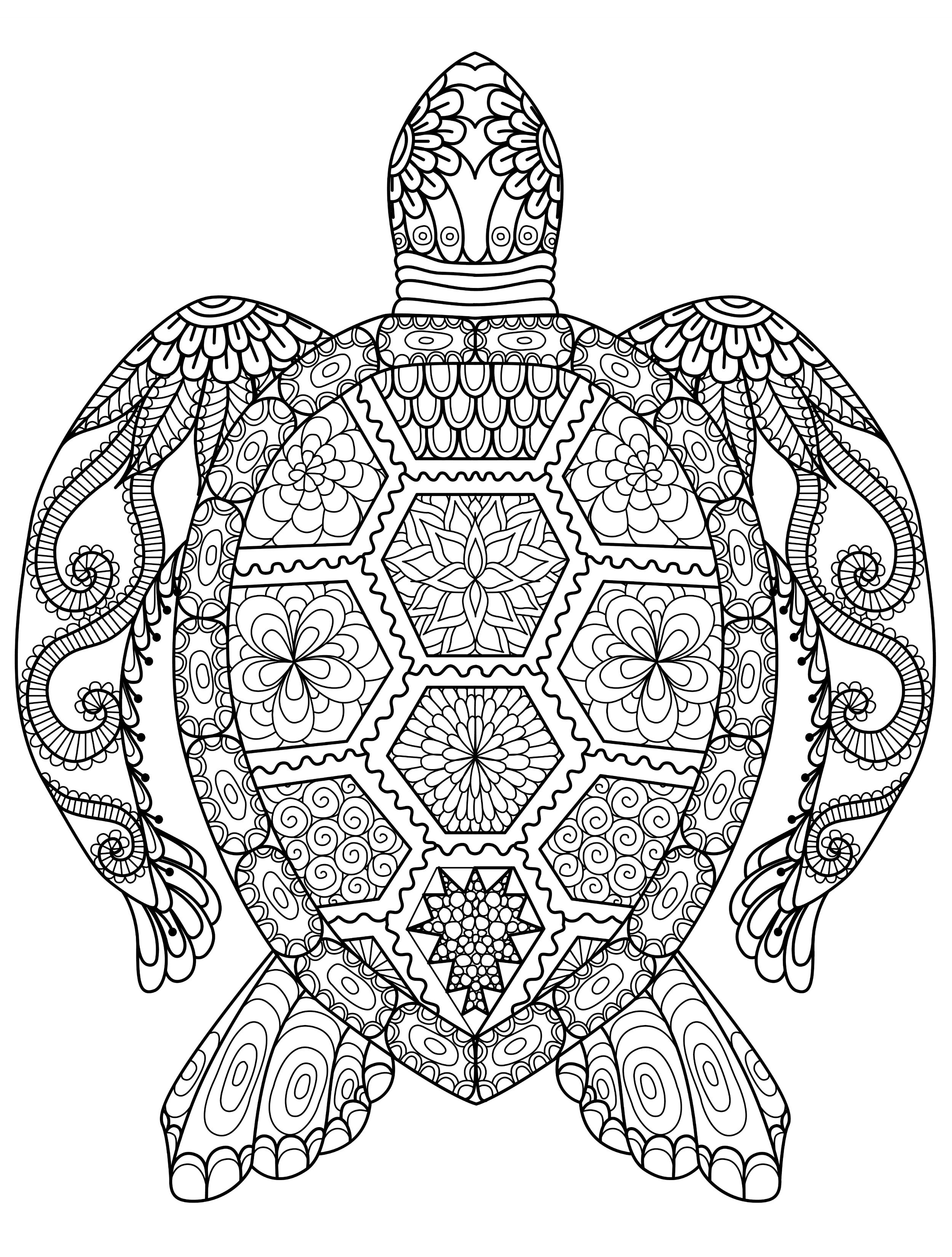 Adult Coloring Pages Animals   Best Coloring Pages For Kids ...