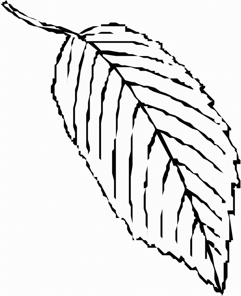 Related Leaf Coloring Pages item-13092, Leaf Coloring Pages Fall ...