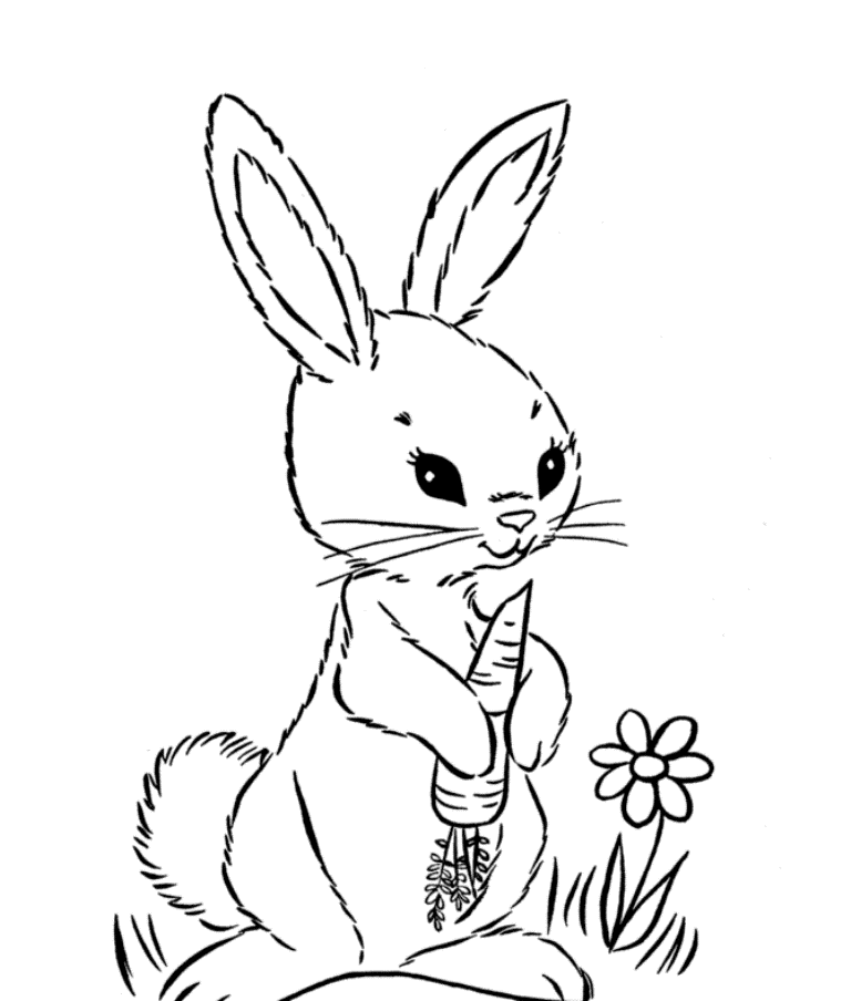 Adorable Coloring Pages For Kids Rabbit | Animal Coloring pages of ...