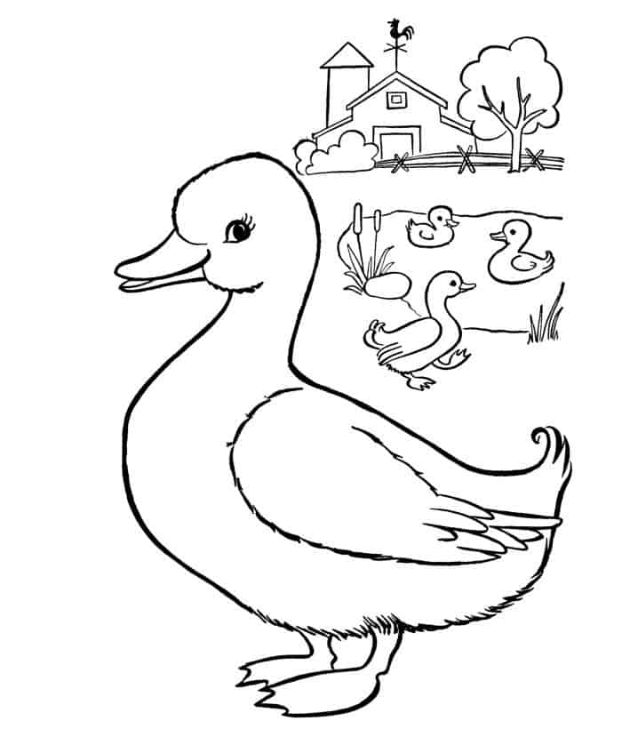 Duck Coloring Pages PDF For Kids - Coloringfile.com