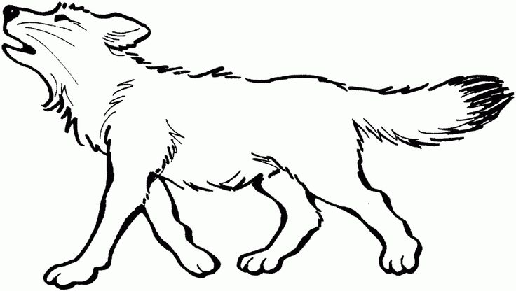 Free Printable Wolf Coloring Pages For Kids | Cool wolf drawings, Wolf  colors, Fox coloring page