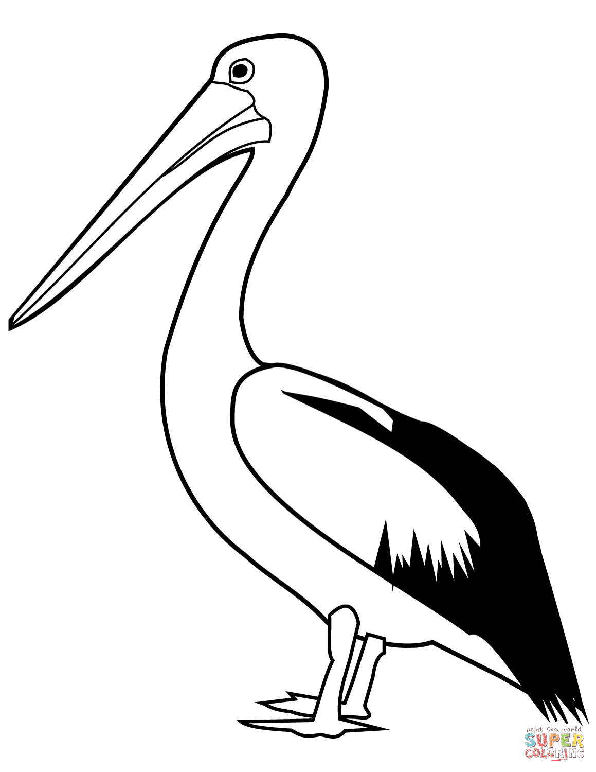 Pelican coloring page | Free Printable Coloring Pages
