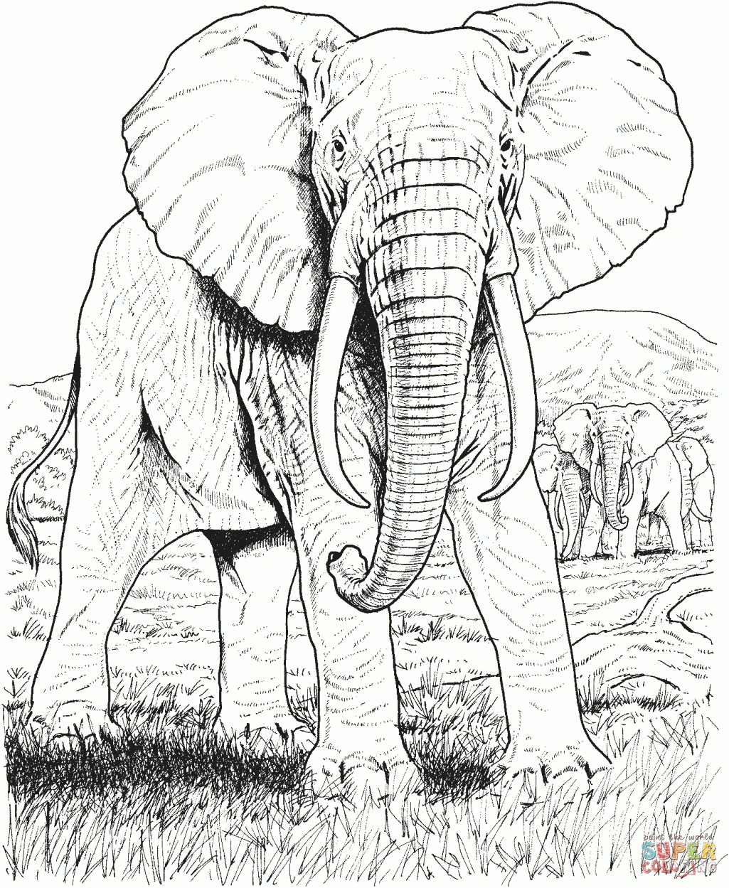 Free Coloring Pages Of Woodland Forest Animals Woodland Animals ...
