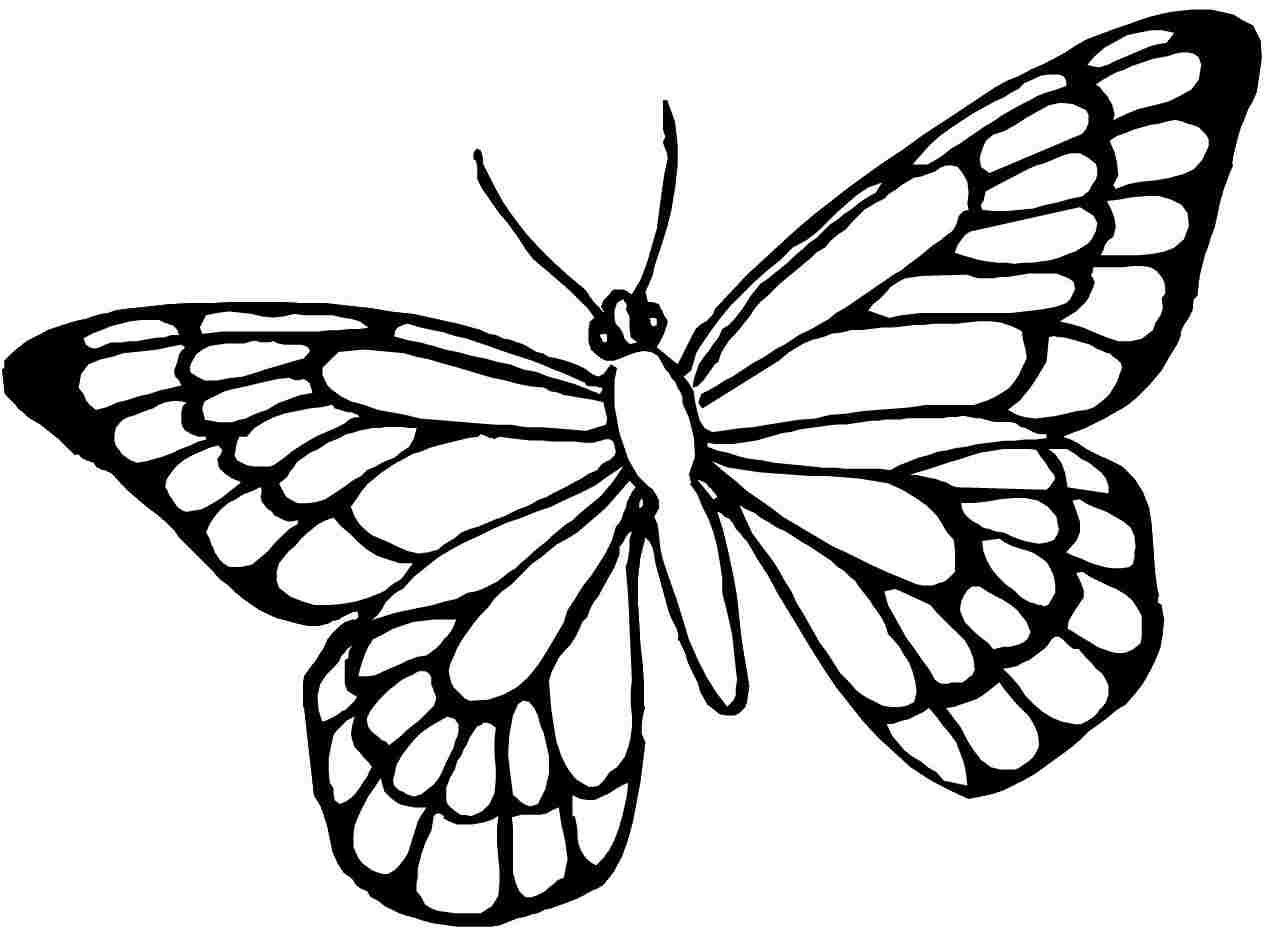 Amazing of Great Butterfly Coloring Pages For Kids To Pri #392